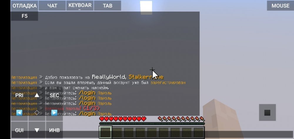 Screenshot_20211110-102055_PojavLauncher (Minecraft Java Edition for Android).jpg