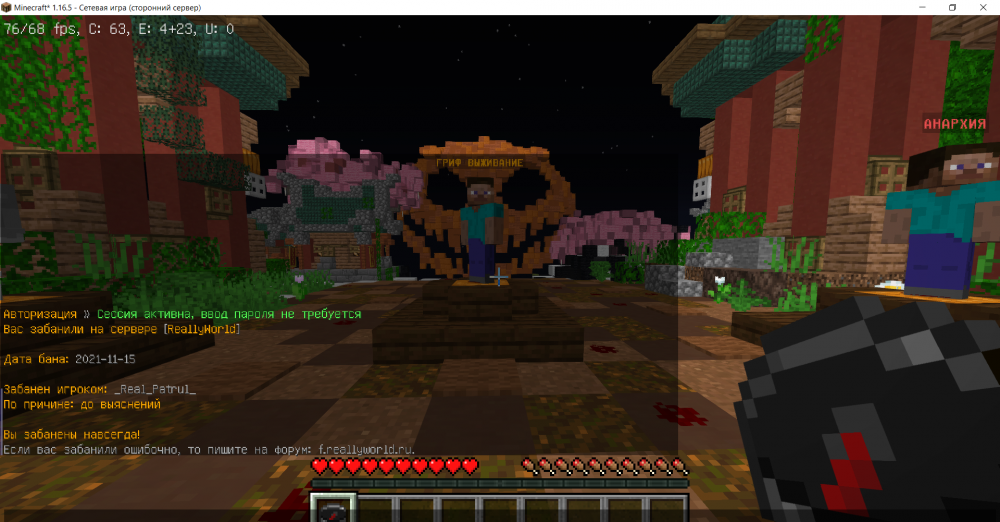 Minecraft_ 1.16.5 - Сетевая игра (сторонний сервер) 15.11.2021 20_08_29.png