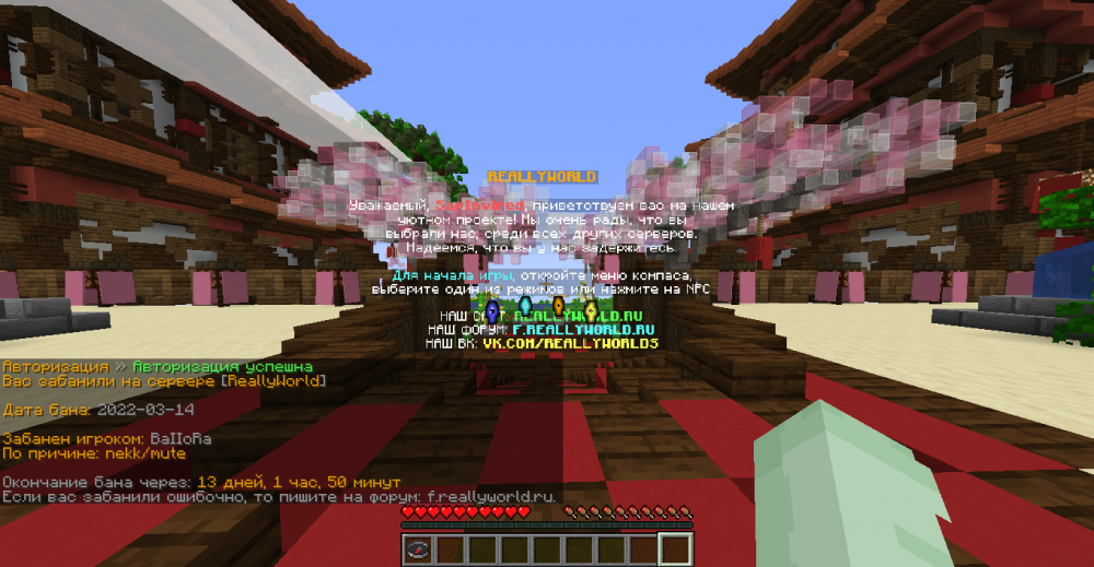 2022-03-15_15_42_29.thumb.png.59b2d2a7df6d946c3ad4c05b8b953c85.png