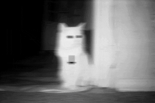 ✟✟✟✟✟✟.gif