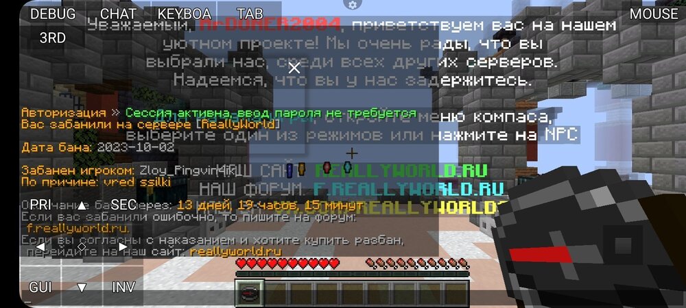 Screenshot_20231002_215227_PojavLauncher (Minecraft Java Edition for Android).jpg