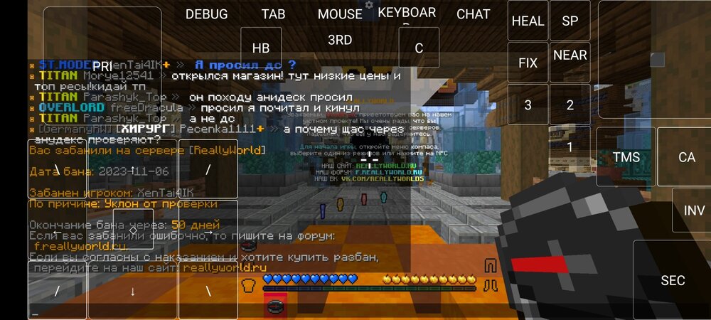 Screenshot_2023-11-07-01-18-45-571_net.kdt.pojavlaunch.jpg