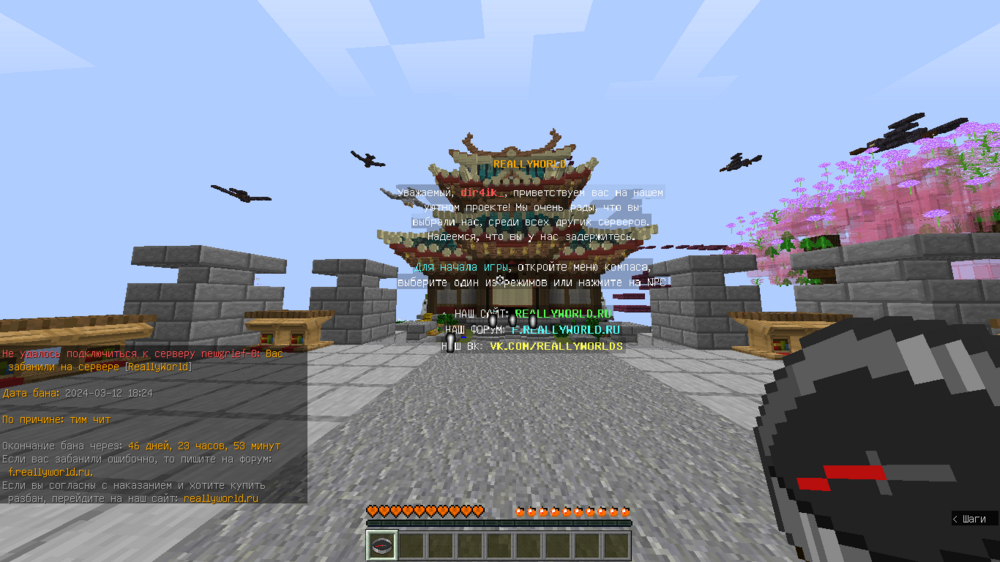 image.thumb.png.427d81f00ffeb5a9fc80fd5aa07e0858.png