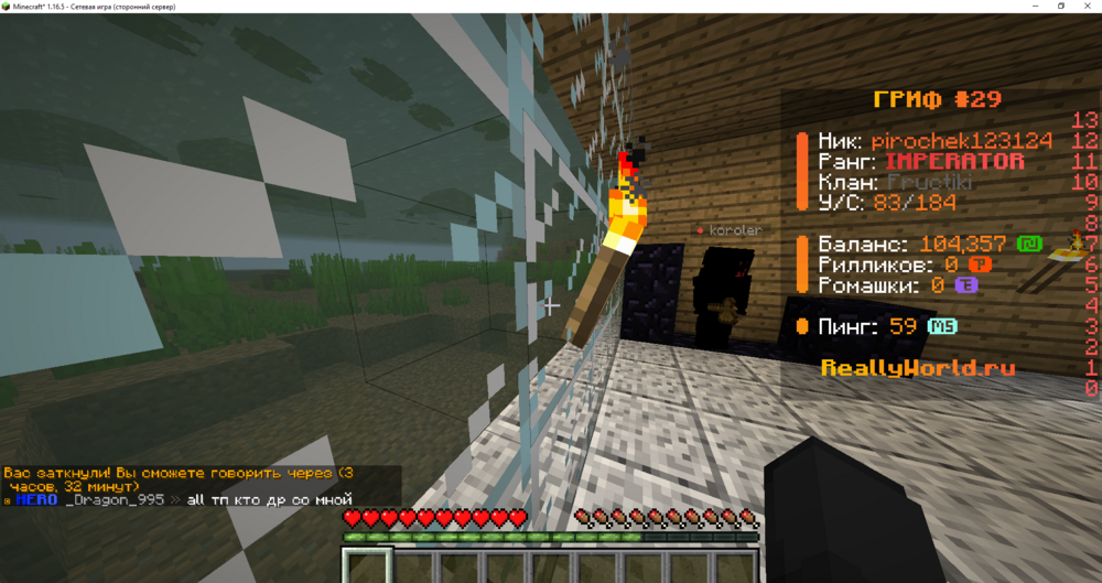 1436797809_Minecraft_1_16.5-()10_05.202421_29_48.thumb.png.592dfa5535e34c81590a94943f99403b.png